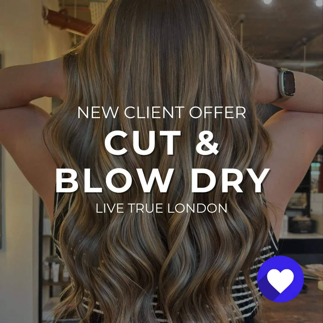 New Clients: Cut & Blow Dry